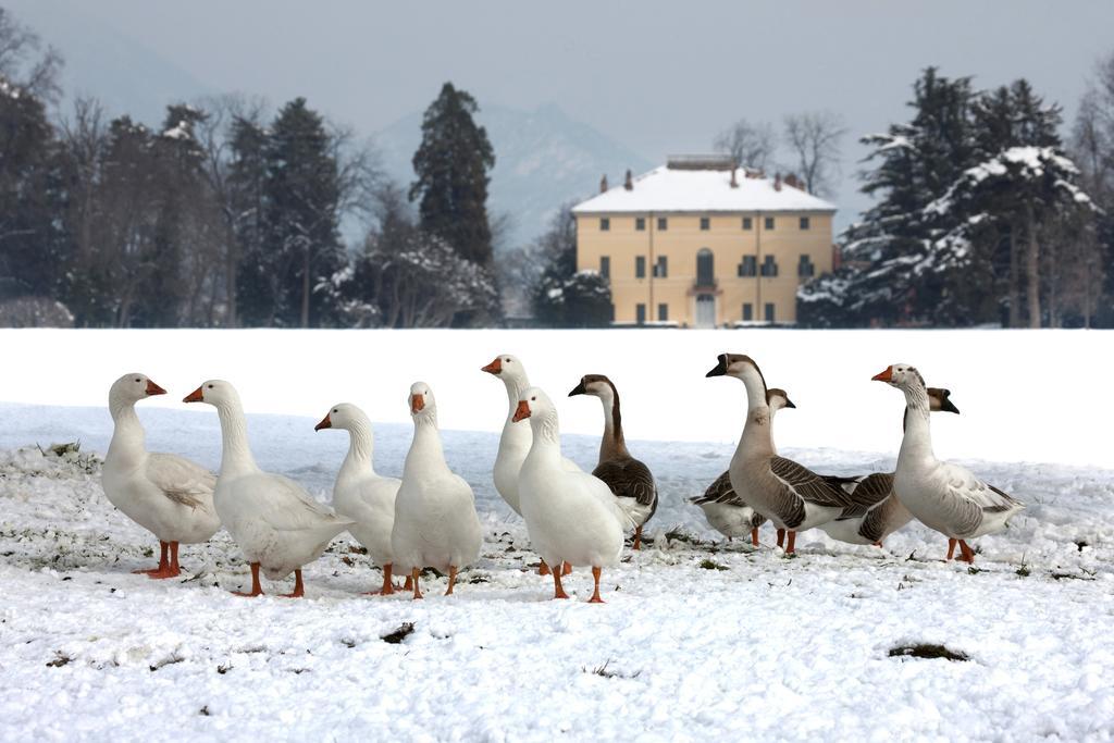 פינרולו Agriturismo Il Torrione מראה חיצוני תמונה