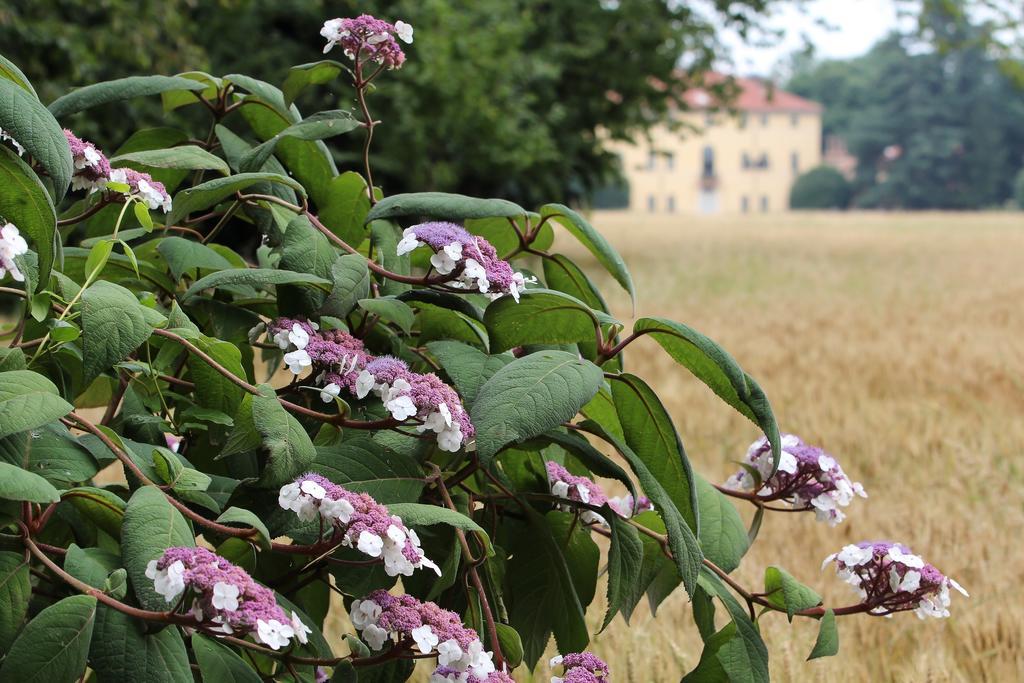 פינרולו Agriturismo Il Torrione מראה חיצוני תמונה